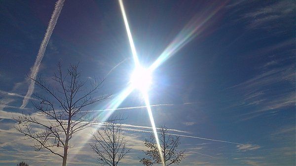 Bild Nr.2 zum Thema: Sommer, Sonne,Sonnenschein