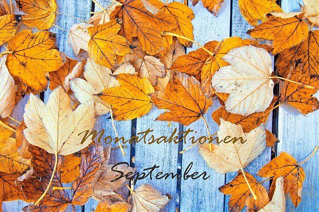 Bild Nr.1 zum Thema: September