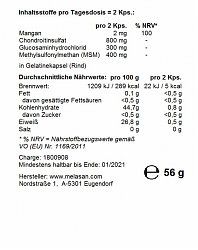 Nr. 04 ApoLife - Knorpel und Gelenke Großpack